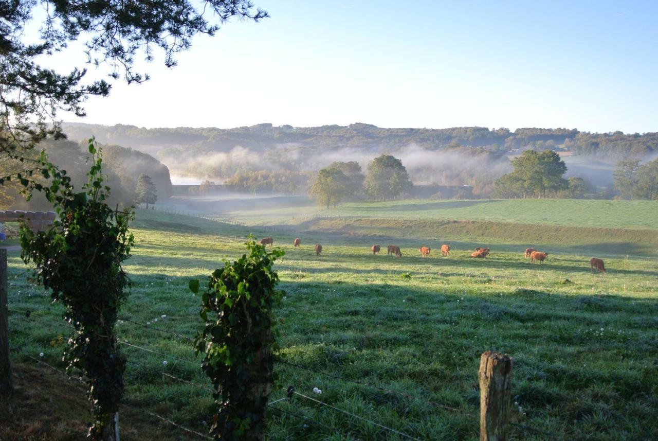 Domaine Les Teuilleres Bed & Breakfast Lacam-d'Ourcet Luaran gambar