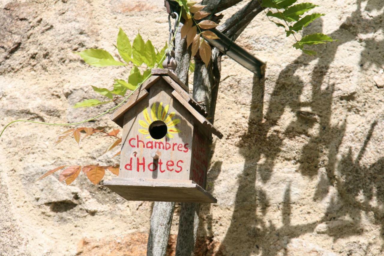 Domaine Les Teuilleres Bed & Breakfast Lacam-d'Ourcet Luaran gambar