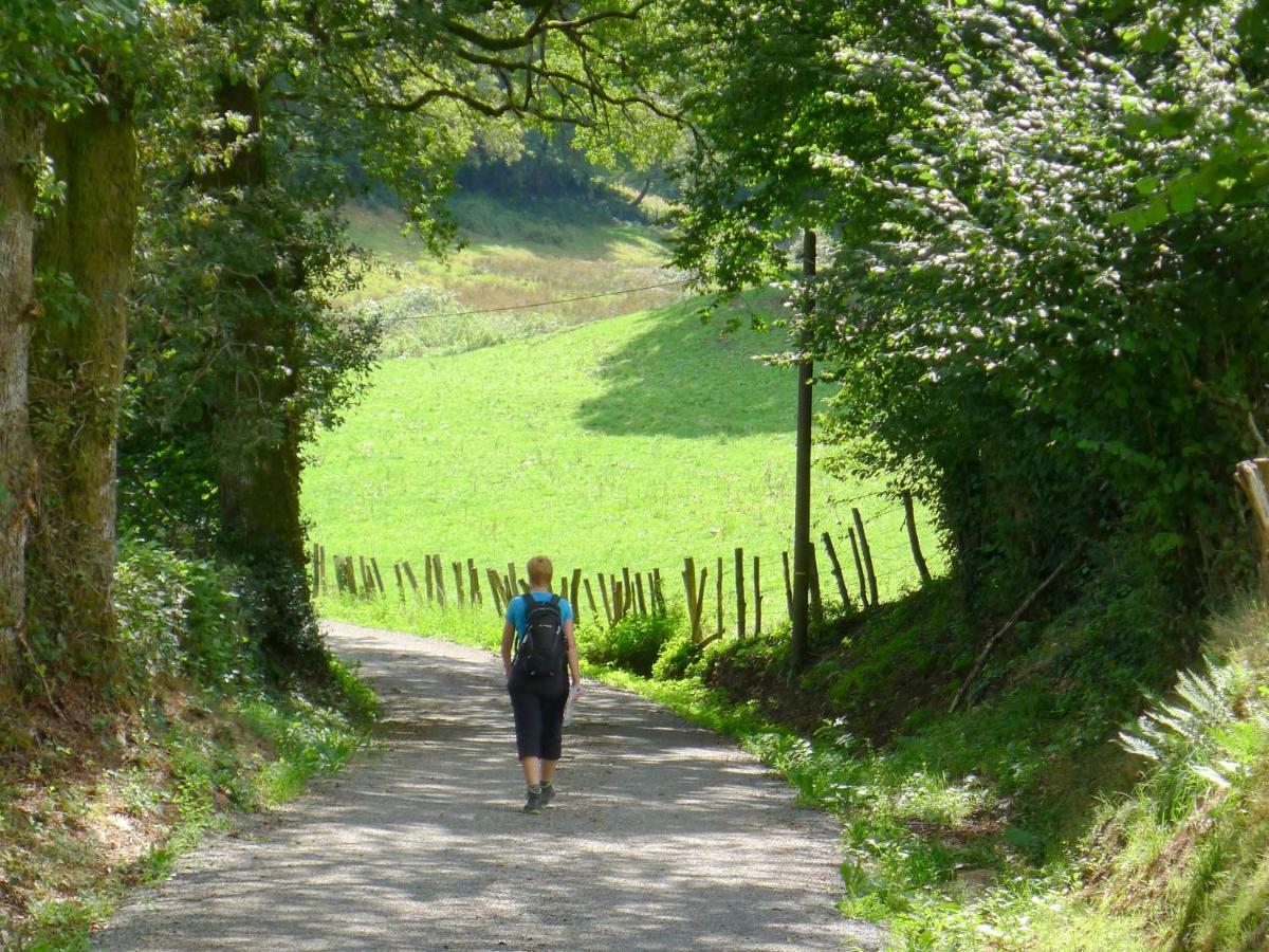 Domaine Les Teuilleres Bed & Breakfast Lacam-d'Ourcet Luaran gambar